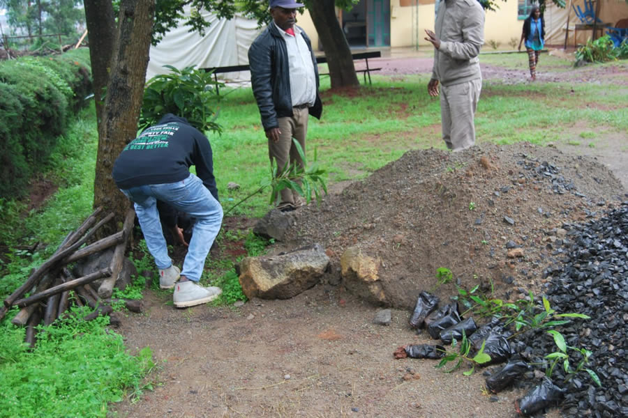 Planting Trees 4